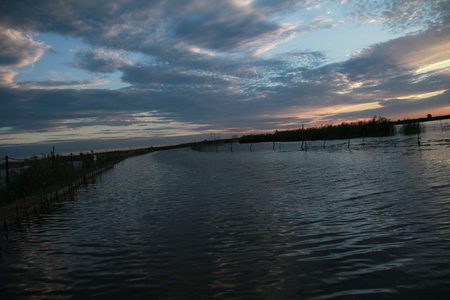Chaoyang Lakeの写真素材