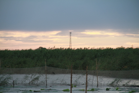 Baiyang Lakeの写真素材