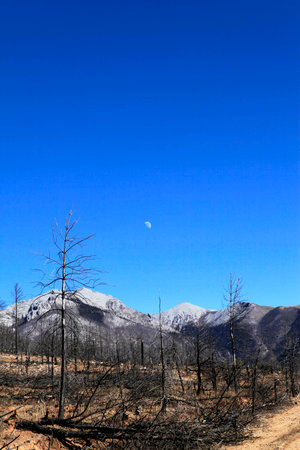 Snow Mountainの写真素材