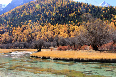 Natural scenery at Yading, Daochengの写真素材