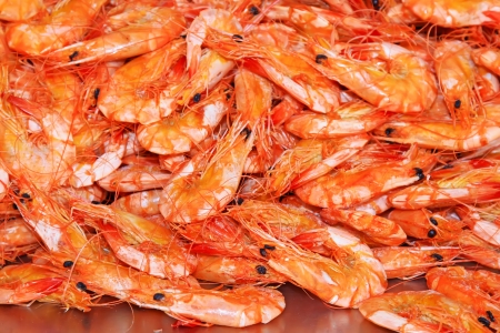 a very delicious food - dried shrimpの写真素材