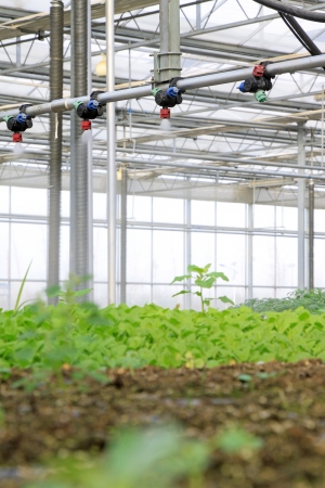 Smart spraying equipment in the Leting modern agricultural garden の写真素材