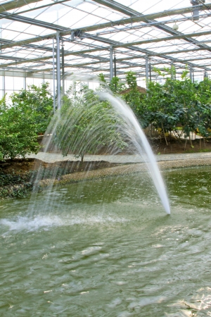 jet water in a modern agricultural sightseeing gardenの写真素材