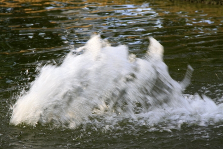high speed jet flow in a parkの写真素材