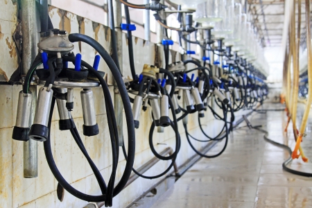 Mechanized milking equipment in a milking workshopのeditorial素材