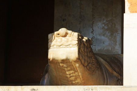 huge turtle stone carving, in the Eastern Tombs of the Qing Dynasty, on december 15, 2013, ZunHua, hebei province, China. 
のeditorial素材