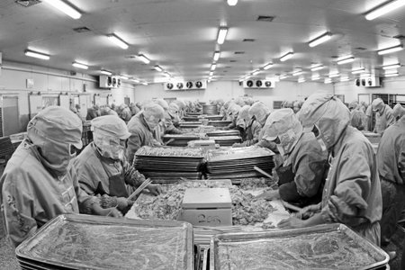 Workers in a meat processing production line, in a food processing enterprise, on December 20, 2013,...