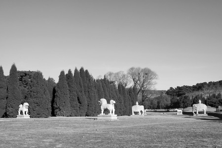 ZUNHUA - DECEMBER 15: The stone carving landscape architecture, in the Eastern Tombs of the Qing Dynasty, on december 15, 2013, ZunHua, hebei province, China. 
のeditorial素材