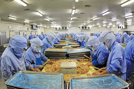 Workers in a meat processing production line, in a food processing enterprise, on December 20, 2013, tangshan city, hebei province, China. 
のeditorial素材