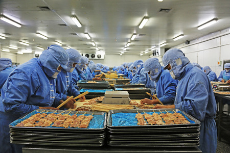 Workers in a meat processing production line, in a food processing enterprise, on December 20, 2013, tangshan city, hebei province, China. 
のeditorial素材