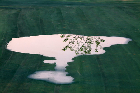 Unfinished green plastic ground and water reflection in a construction site の写真素材
