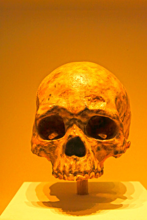BEIJING, CHINA - MIDDLE PALEOLITHIC (CIRCA 70,000 YEARS AGO) : Liujiang Man Skull(replica), middle paleolithic (circa 70,000 years ago), collection in the China national museum, Beijing, China. 
のeditorial素材