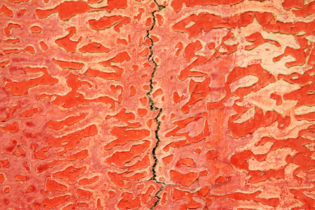 paint peeling door plank, closeup of photoの写真素材