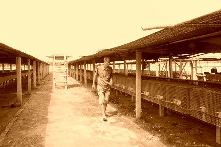 LUANNAN COUNTY - AUGUST 15: Farmer caring caged animals in a farm, on august 15, 2014, Luannan County, Hebei Province, China のeditorial素材