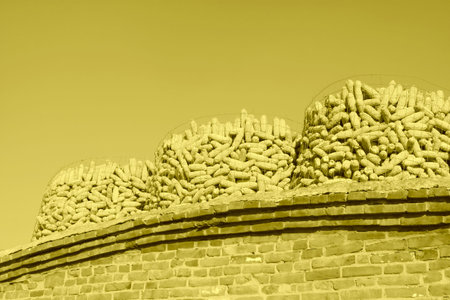 piles of corn bonzi material on the top of the room, closeup of photo