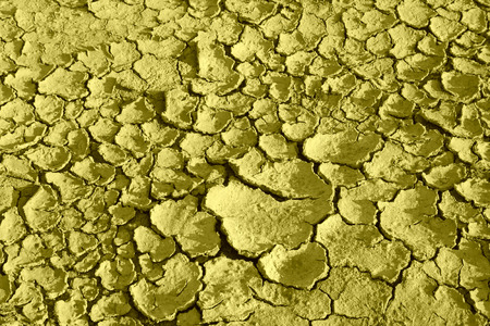 dry land in the wild, closeup of photoの写真素材