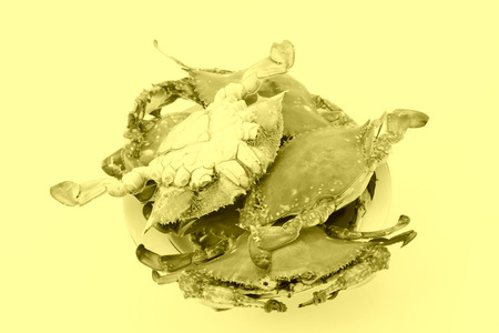 closeup of cooked crab on a white backgroundの写真素材