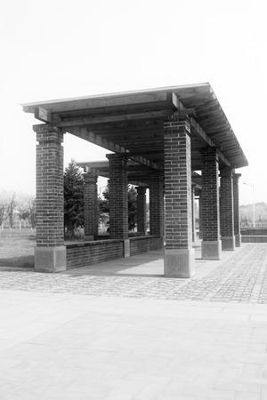 promenade in the park, closeup of photoの写真素材