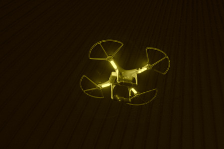 Small flying in the sky, closeup of photoの写真素材