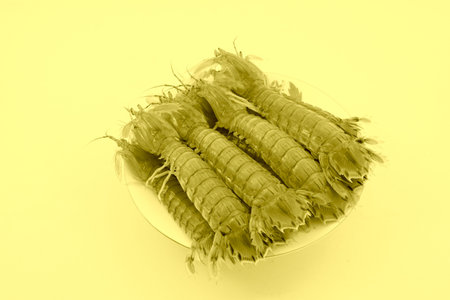 closeup of fresh mantis shrimp の写真素材