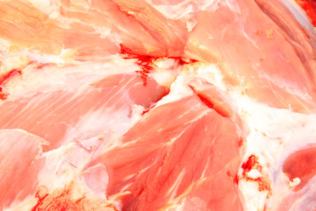 fresh pork, closeup of photoの写真素材