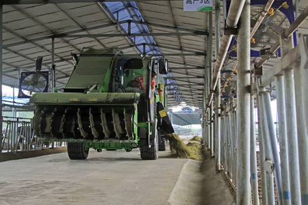 LUANNAN COUNTY - AUGUST 28: A special vehicles putting feed in the farm, August 28, 2015, Luannan County, Hebei Province, China.のeditorial素材