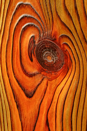 wood texture, closeup of photoの写真素材