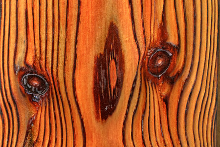 wood texture, closeup of photo