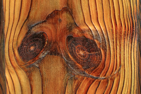 wood texture, closeup of photoの写真素材