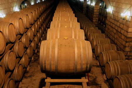French Oak Wine Barrel in the wine cellar
