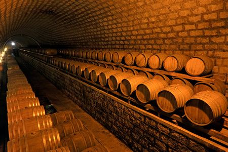 French Oak Wine Barrel in the wine cellar