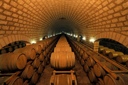 French Oak Wine Barrel in the wine cellar