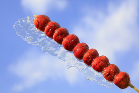 ice-sugar gourd in blue skyの写真素材