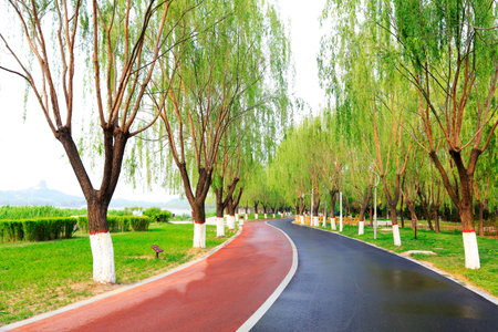 Park road landscape