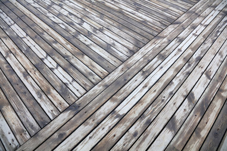 wet wood texture