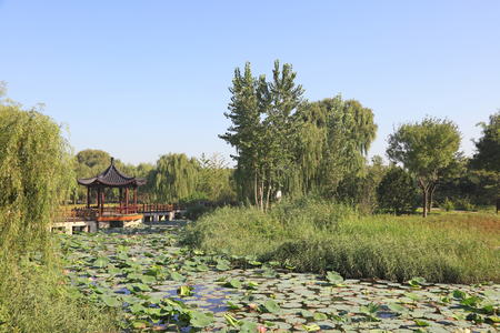 Chinese architectural style pavilionの写真素材