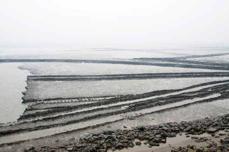 Coastal beach landscape