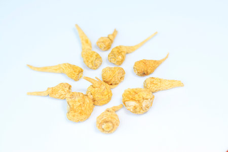 Herbal Lepidium meyenii Walp on a white backgroundの写真素材