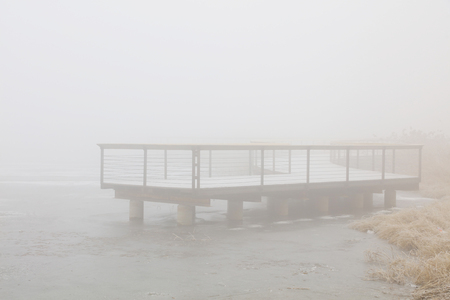 wooden platform in the parkの写真素材