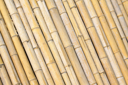Bamboo split togetherの写真素材