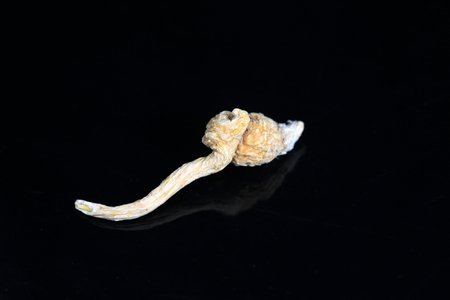 Herbal Lepidium meyenii Walp on a black backgroundの写真素材