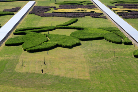Beijing Capital International Airport T3 terminal parking lot greening, Chinaのeditorial素材
