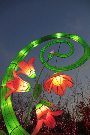 Flowers and plants shape lanternのeditorial素材