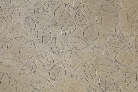 Leaf texture on the cement floorの写真素材