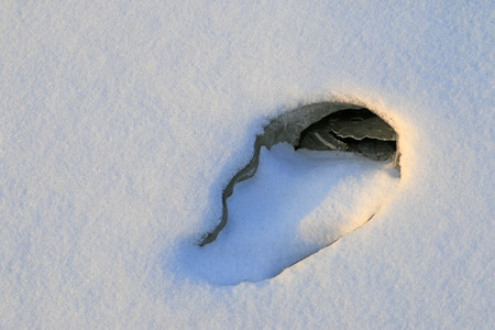 Ice holeの写真素材