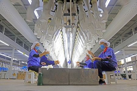 Tangshan City - October 19, 2016: Tangshan Zhonghong NBR medical gloves production line, Tangshan City, Hebei, China, China

のeditorial素材