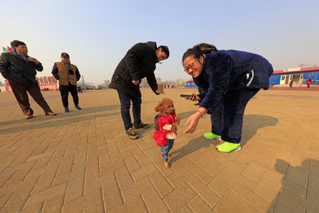 Tangshan City - February 20, 2018: people are watching a teddy dog dressed in adult form, Tangshan City, Hebei, China.のeditorial素材