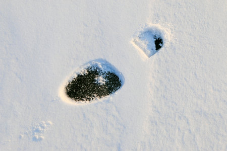 Footprints in the snow