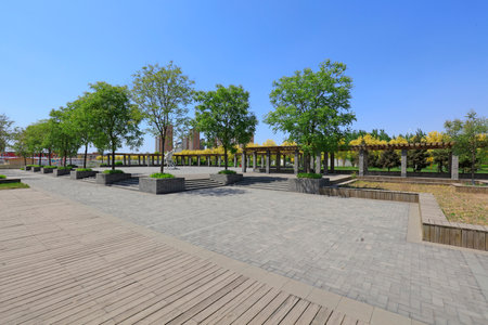 Park Architectural Landscapeの写真素材