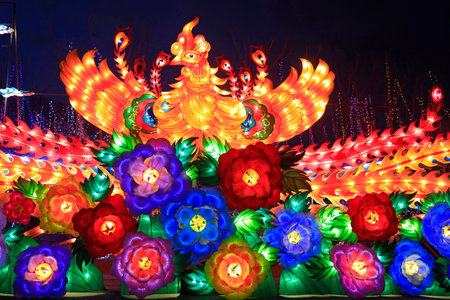 phoenix shape lanternのeditorial素材